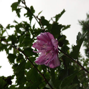 Meet your Posher, Fotini